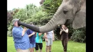 Fotos fails