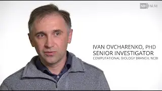 Ivan Ovcharenko and Treasure Islands