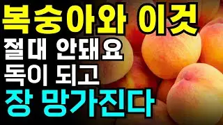 복숭아와 절대 함께 먹으면 안 되는 상극인 음식 3가지 여름과일 복숭아주의사항 건강정보