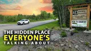 Why Are People Driving Hours to Visit This Farm?
