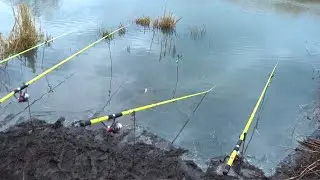 САЗАН ЧУТЬ НЕ УТАЩИЛ  УДОЧКУ    !!! ФЕВРАЛЬ 2022 !!!