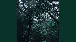 Sorrowful Life - Until It's Over