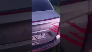 1 августа 2024 г.