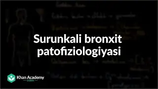Surunkali bronxit patofiziologiyasi | Surunkali bronxit | Tibbiyot