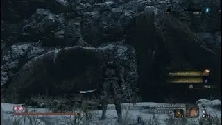 Sekiro™:
