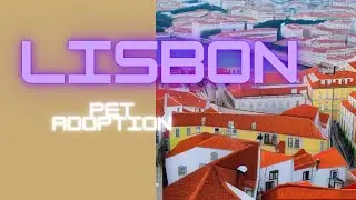 Lisbon Pet Adoption | Free to Use | Copyright Free