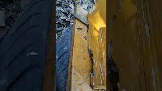 Матка погибла. Как понять