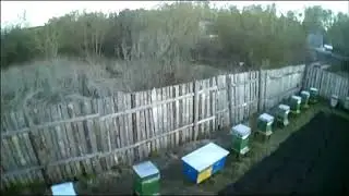 Пасека 3 мая 2020 вид сверху