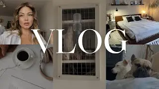 VLOG 532 / змайстрували будинок для щурів / жовтень 2024