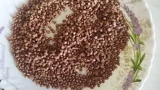 Это Гречка #гречкарецепт #греча #гречка