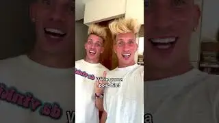 Da Vinki Twins Kitten Core!