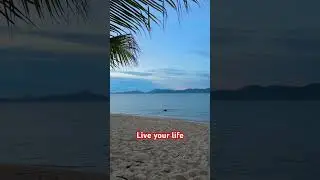 Live your own life #saxophone #music #lonely #thailand #kohsamui #emotional #russia #moscow