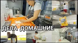 учителям ТУТ НЕ МЕСТО👋жутко ЗАХОТЕЛОСЬ ЧЕБУРЕКОВ💁‍♀️ПОКУПКА  на Яндекс Маркете