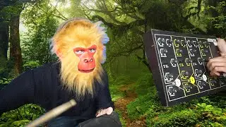 Monkey Play Drum machine USSR Analog Elsita