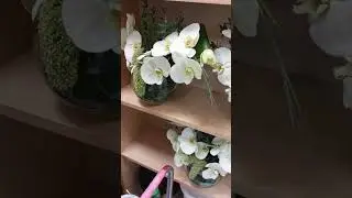 When your client would like smth extraordinary