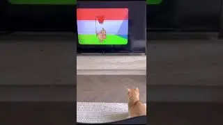 любитель мультфильмов