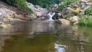 Native American Flute for Deep Sleep, Stress Relief & Emotional Healing - Healing Forest Ambience