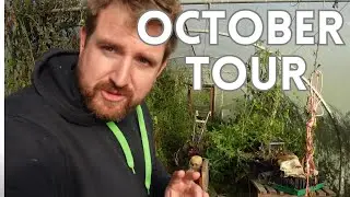 October update and Tour Around The Homestead