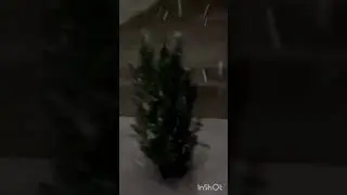 Снег кружится ❄️❄️❄️