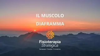 Il muscolo diaframma