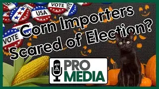 Corn Importers Scared of Election?