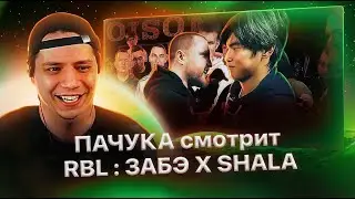 Пачука смотрит 