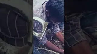 BLOODLESS BURDIZZO CASTRATOR|| LESS PAIN AND EFECTIVE METHOD TO CASTRATE A BULL OR GOAT