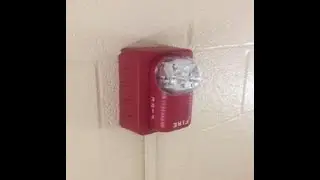 AMOGUS