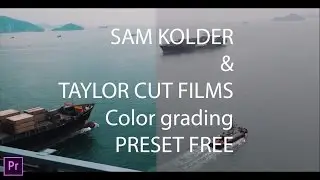 How to color grade like SAM KOLDER & TAYLOR CUT FILMS preset free( Teal & Orange)