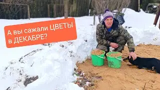 В деревне как всегда... Всего понемножку