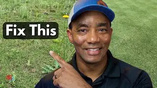 How to FIX your UGLY LAWN in 4 Easy Steps