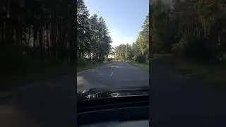 Речицкий район Гомельской области