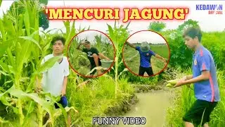 KONBES #16 | KOMEDI NGAPAK BREBES | SIALNYA PENCURI JAGUNG