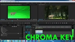 Adobe Premiere Pro cc Chroma Key Tutorial