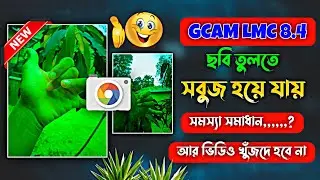 When taking pictures with LMC 8.4, it turns green | LMC 8.4 Green Screen Problem | LMC 8.4 Settin...