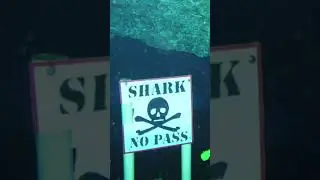Creepy Signs From Around The World #creepy #scary #scare
