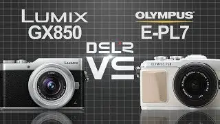 Panasonic Lumix DC-GX850 (GX800/GF9) vs Olympus PEN E-PL7
