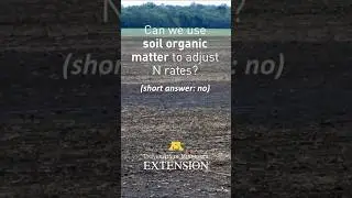 Can we use soil organic matter to adjust N rates?