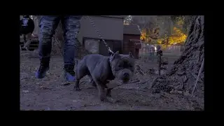 Smokie G x Perv Coleone - DOE (prod. by Darius Beatz)
