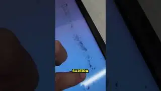 Tinha formigas atrás da tela da TV - Limpeza da tela