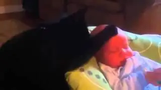 Кот Убаюкивает Ноющего Ребенка)))