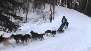 Iditarod 2011-Corral Hill--John Baker