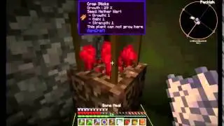 How to grow netherwart in agrarian skies 2