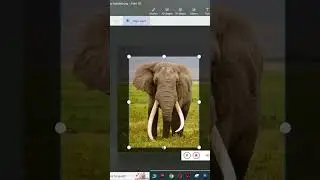 How to remove object from image using paint 3d
