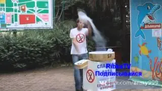 Приколы 2015 Сезон 1 Часть №1