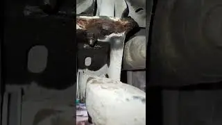 замена балки тойта ноах