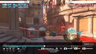 2 types of teammates