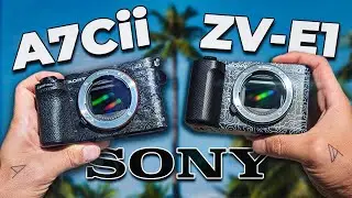 Best HYBRID Camera? SONY A7Cii vs ZV-E1