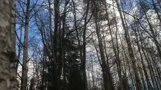 5 октября проверяю есть ли грибы 🍄