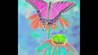 Elusive Butterfly of Love